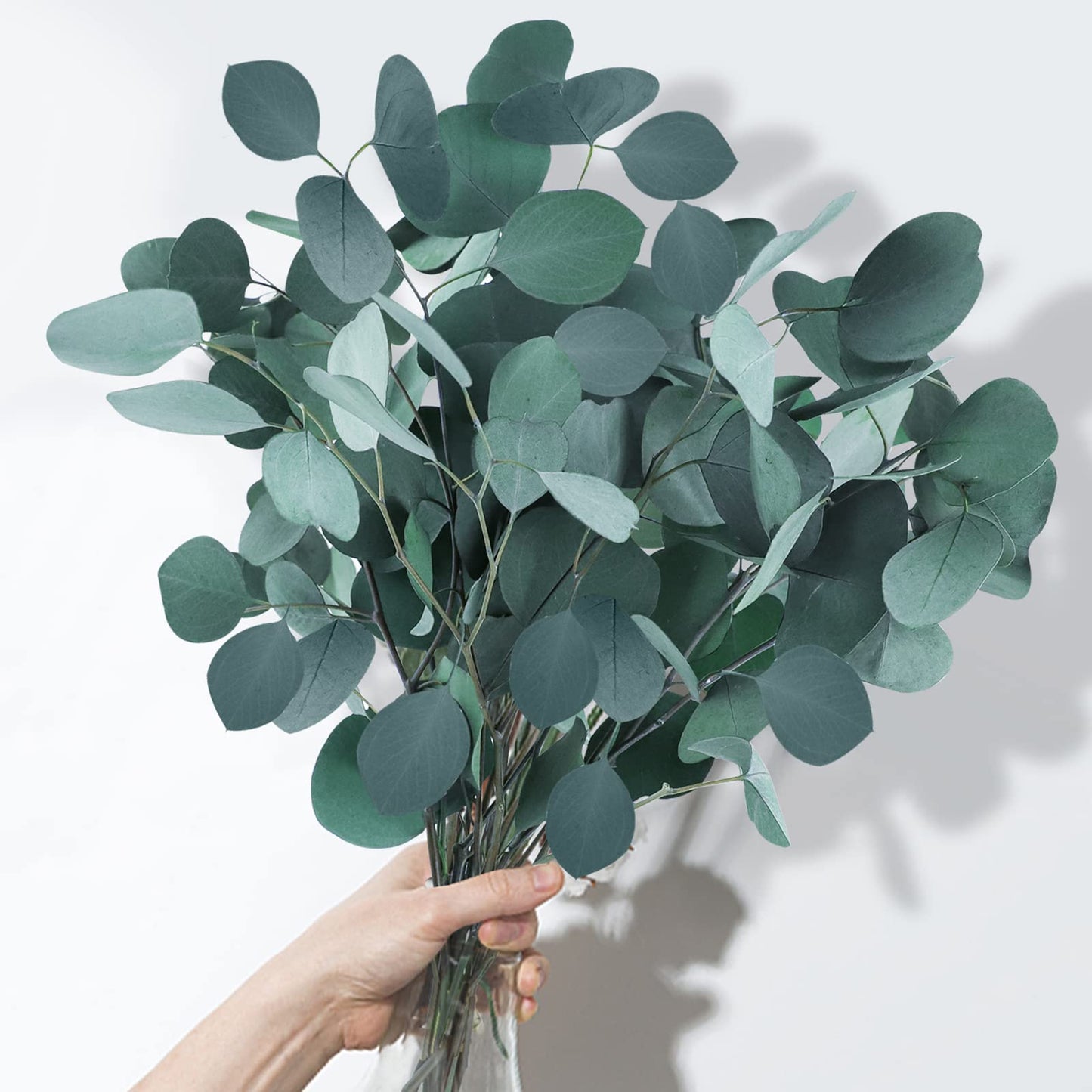 White Eucalyptus - ROOM & LINEN SPRAY