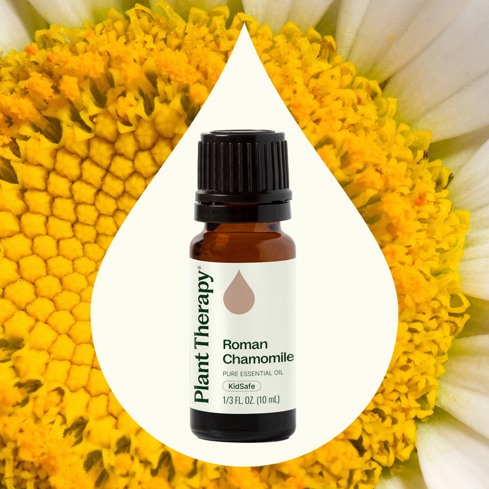 Plant Therapy Roman Chamomile Essential Oil 10 Ml