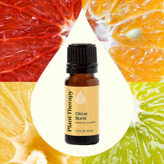 Plant Therapy Citrus Burst Essential Oil 10 Ml