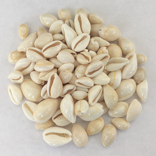 Cowrie Shells - 18 Pcs