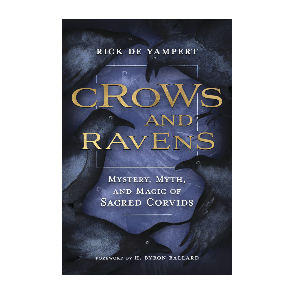 Crows and Ravens