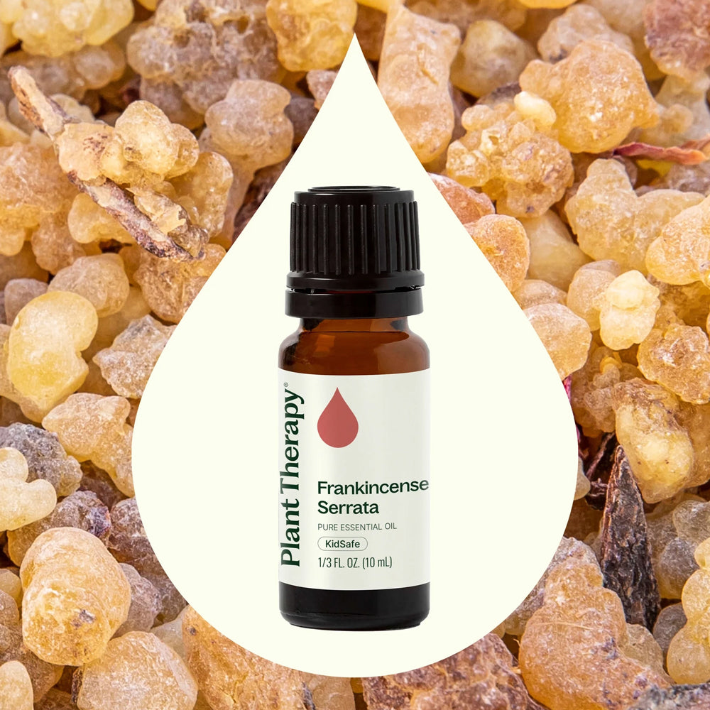 Plant Therapy Frankincense Serrata Essential Oil 10 Ml