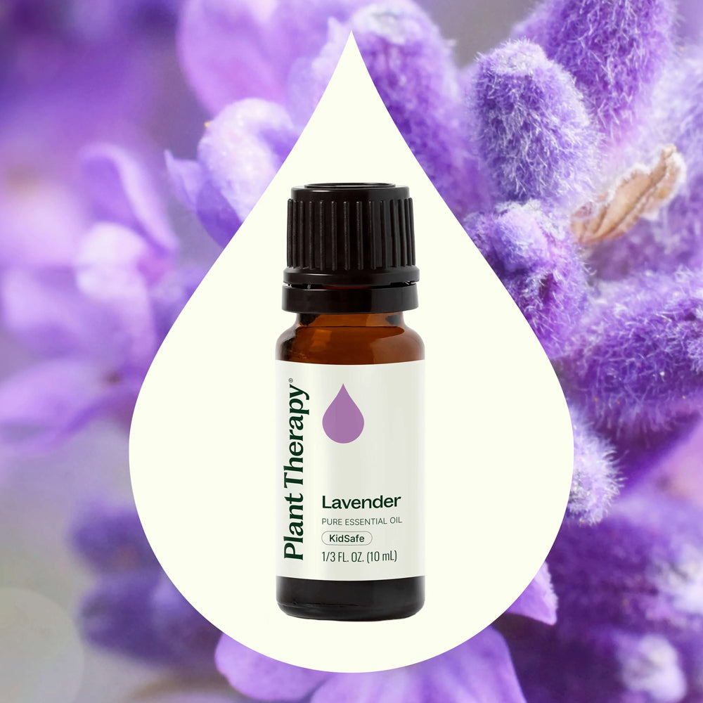 Plant Therapy Lavender Essential Oil 10 Ml