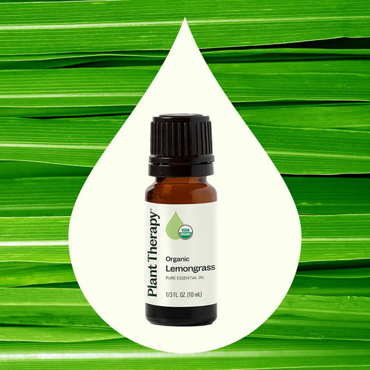 Planet Therapy Organic Lemongrass Essential Oil - 10 Ml