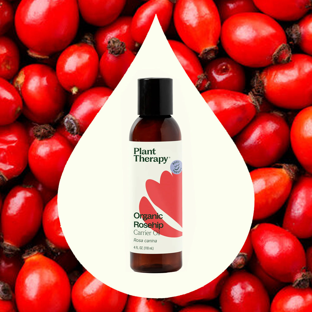 Plant Therapy Organic Rosehip Carrier Oil Extra Virgin 4 oz