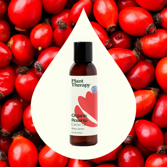 Plant Therapy Organic Rosehip Carrier Oil Extra Virgin 4 oz
