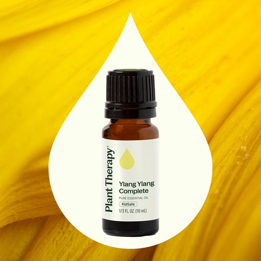 Plant Therapy Ylang Ylang Essential Oil 10 Ml