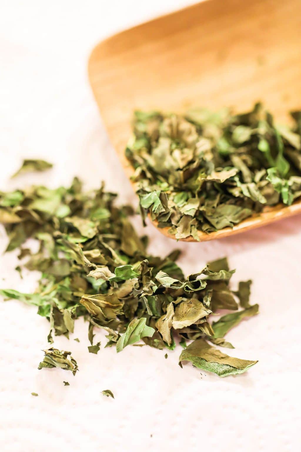 Spices/Herbs - For Ritual & Spell Work