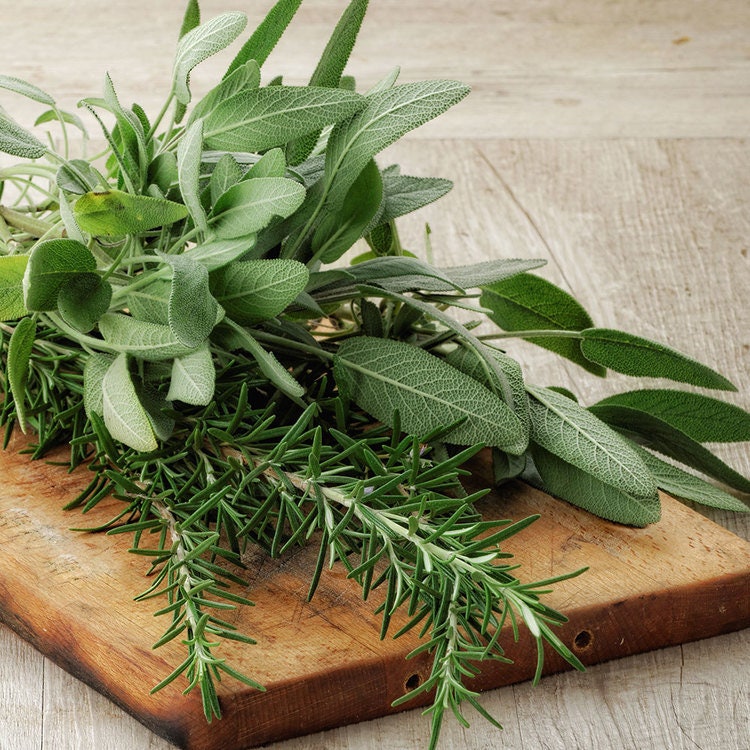 Rosemary + Sage - REED DIFFUSER